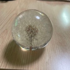 HAFOD GRANGE Dandelion Fluff