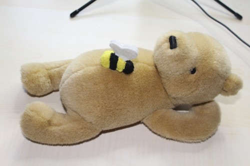 Winnie the pooh plush - winnie, teddy