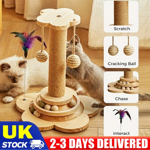 Tall large cat - tall,
