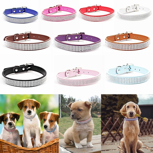 Dog collar leather row - dog,