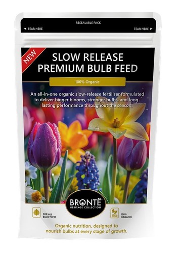 Bronte heritage bulb - heritage,