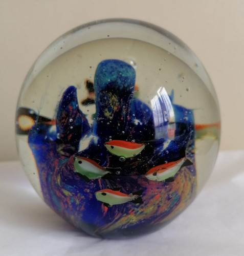 Glass fish aquarium