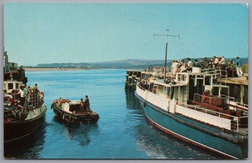Exmouth devon the harbour - exmouth,