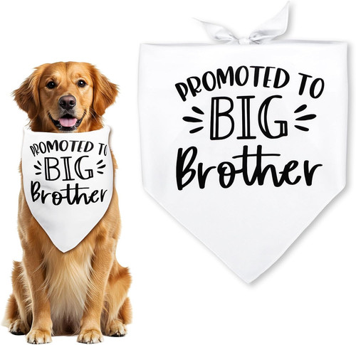 Dog bandana big - dog,