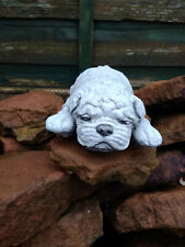 SMALL LAYING SHARPEI SHAR PEI