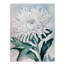 White Chrysanthemum Flower