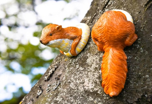 Garden squirrel tree peeker - garden,