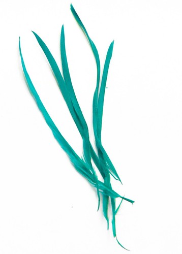 Long fascinator feathers - long,
