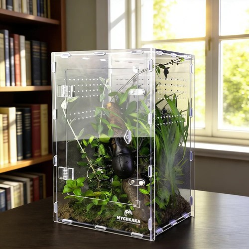 Acrylic terrarium enclosure - acrylic,