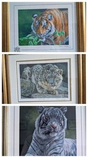 3x Stephen Gayford Limited