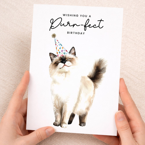 Ragdoll cat birthday card - ragdoll, –