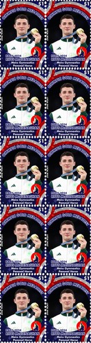 Rhys mcclenaghan pommel - pommel, horse