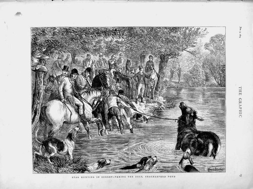 Original old antique print - antique,
