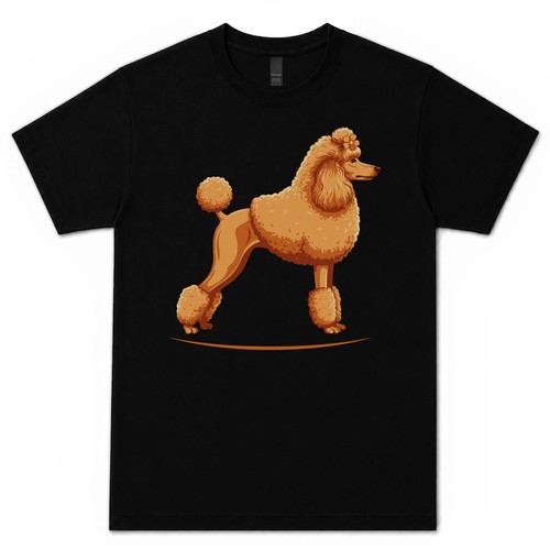 Apricot standard poodle - standard,