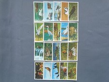 Brooke bond set frances - 20,