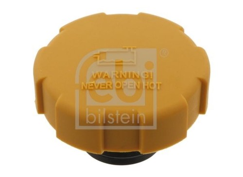 Radiator cap expansion for - radiator,