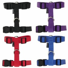 Bunty Adjustable Nylon Dog