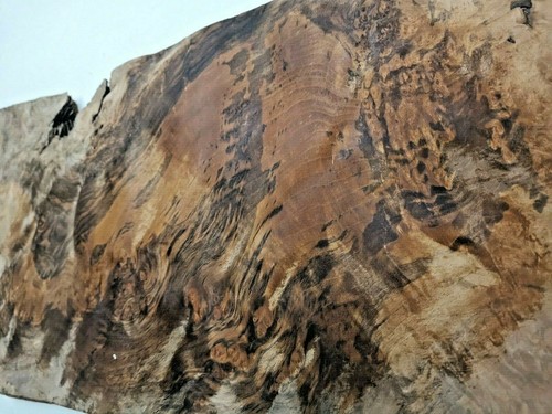 Burr burl walnut - walnut, 65