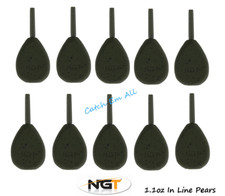 10 x Carp Fishing Leads 1.1oz