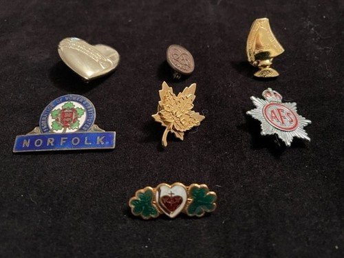 Job lot brooches - job,