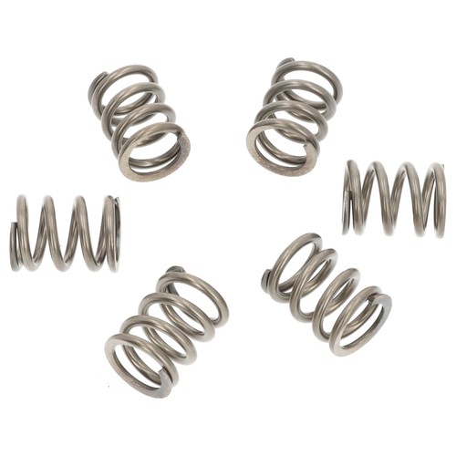 Clutch spring kit fits - clutch,