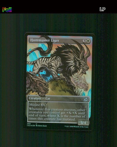 Huntmaster liger - liger, (showcase)