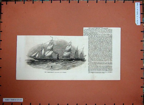 Original old antique print - antique,