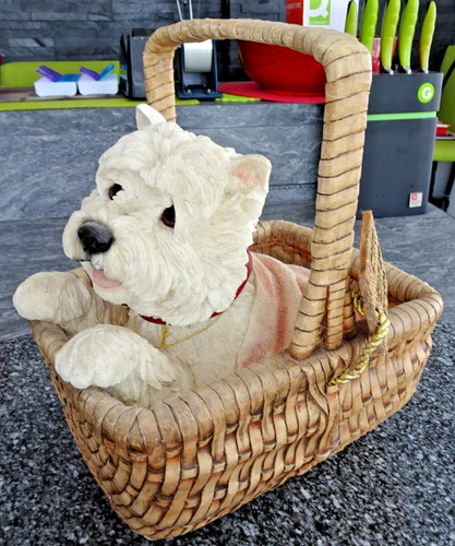Westie basket floor - westie,