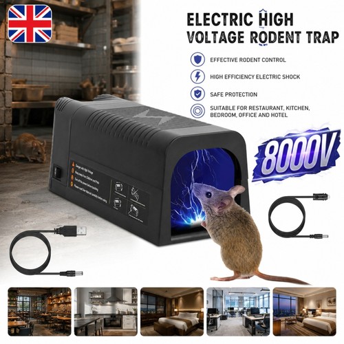 Electronic mouse trap - mouse,