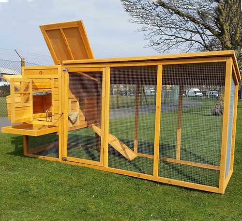 Large 8ft cocoon chicken hen - 8ft,