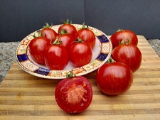 SPANISH DANCER CASCADING BUSH TOMATO DELICIOUS FRUITS PERFECT FOR POTS 12 SEEDS