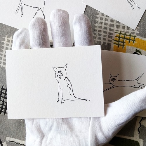 Rescue cat art - rescue, doodles