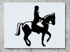 Horse Riding Pet Animal Rider