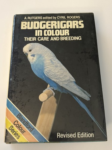 Budgerigars colour their - budgerigars,
