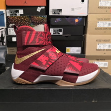 Nike LeBron Soldier 10 SGIWA