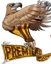 HAWTHORN HAWKS PREMIERS 2014