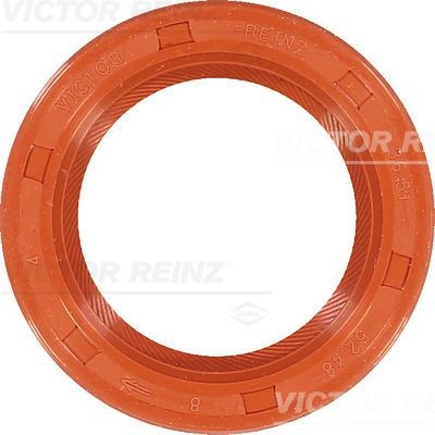 Fits victor reinz - 2x,