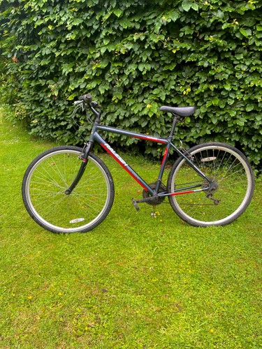 Raleigh altare hybrid - altare,