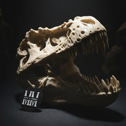 Rex skull realistic - t-rex,