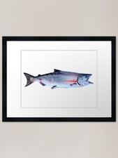 Salmon framed art - art,