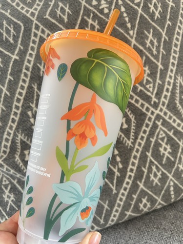 Starbucks summer 2026