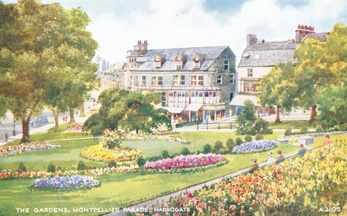 Harrogate north yorkshire - north,