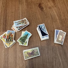 300 plus tea - cards, brooke
