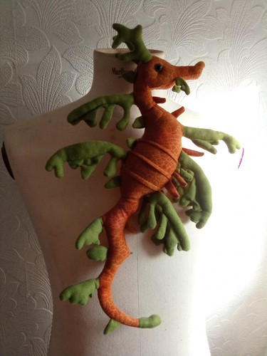 Sea horse - sea,