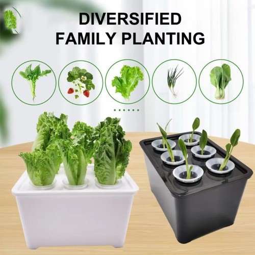 Hydroponic grower self - grower,