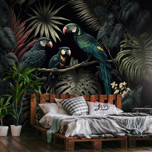 Parrots jungle leaves - jungle,