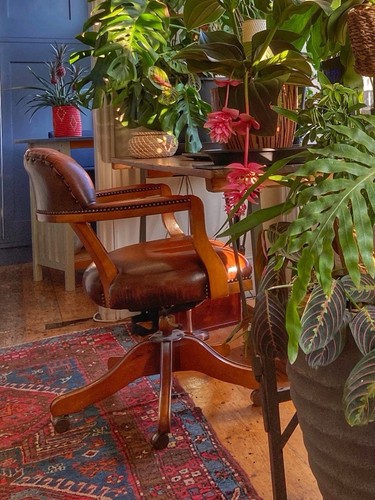 Mid century modern - century,