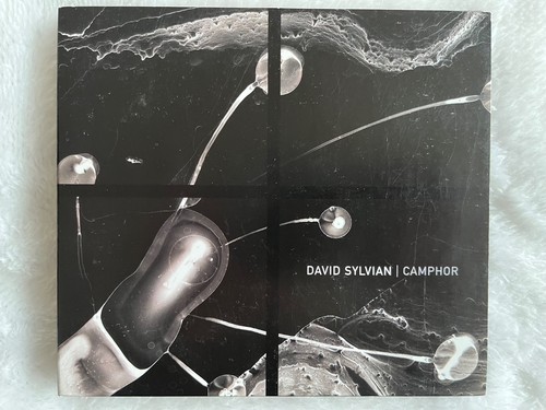 Japan david sylvian jansen - sylvian,
