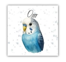 Budgie budgerigar Personalised