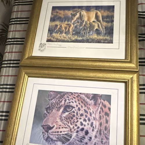 Pair signed framed - of,